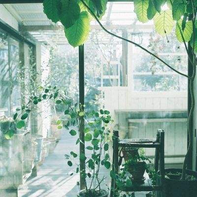 免费的行情网站app