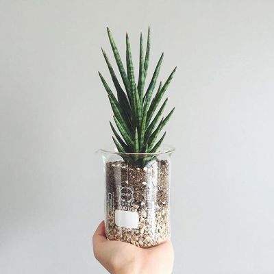 半岛·综合体育下载截图