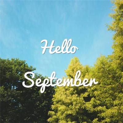 半岛·综合体育下载